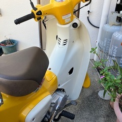 スーパーカブ50ccの画像