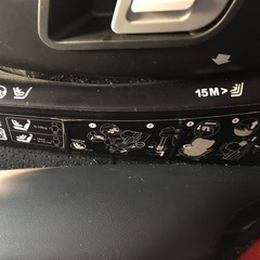 RECAROチャイルドシートの画像