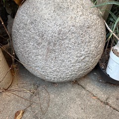 お餅付きのうす差し上げます
の画像