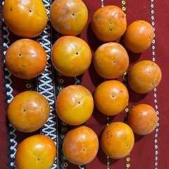 訳あり柿15個（第2弾）の画像