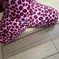 ヒョウ柄テトラ★大  の画像