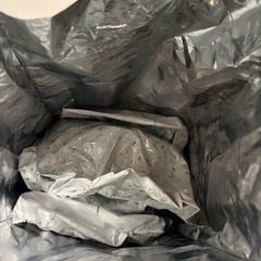 ドッグフード　ビューティープロ　子犬用の画像