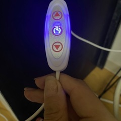 招き猫😺ネオンサインの画像