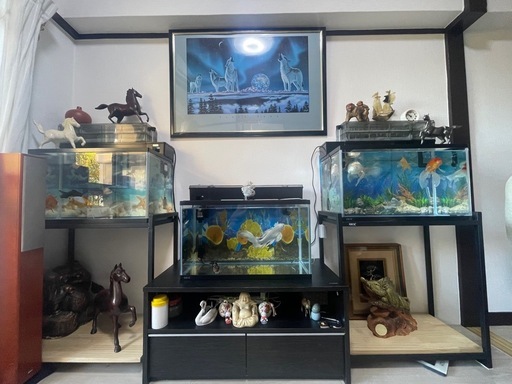 水槽､水槽台セット。まとめて引き取りくれる方