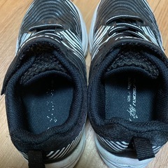 瞬足　17.5の画像