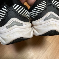 瞬足　17.5の画像