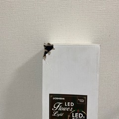 フラワーライトLEDピックタイプ
の画像