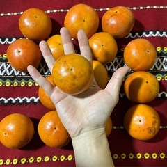 訳あり柿15個（第4弾）の画像