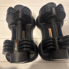 可変式ダンベル 2.5kg～12.5kg×2の画像