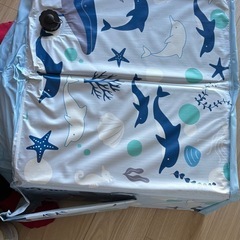 ビニールプールの画像