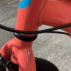 ＧＩＡＮＴ　ENCHANT 20 LITE　キッズ　自転車　２０インチの画像