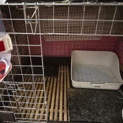 12/3まで★川井コンフォート60  うさぎケージセットの画像