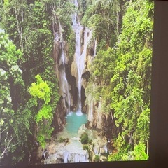  新品 ポップインアラジン2 ➕コネクターの画像