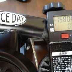 ナイスデイ・ステッパーの画像