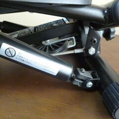 ナイスデイ・ステッパーの画像