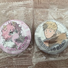 全部セットで！僕のヒーローアカデミアの画像