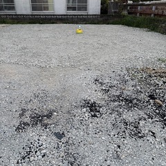 わんわん子供用トイレの画像