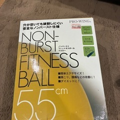 バランスボールの画像