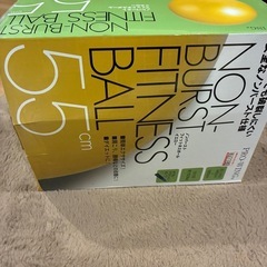 バランスボールの画像