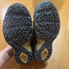 ハンドボールシューズ スカイハンド OC2 24.0cmの画像