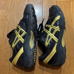 ハンドボールシューズ スカイハンド OC2 24.0cmの画像