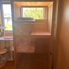 キャットハウス　自作品の画像