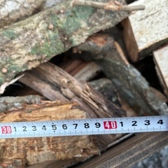 雑木ミックス未乾燥薪、軽トラ2台分価格サービス価格の画像