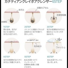 カナディアンクレイポアクレンザー フェイスパック フェイスマスクの画像