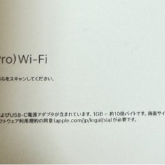 iPad mini 「空箱 」2つの画像