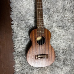 ウクレレ
の画像