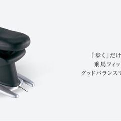 【あげます】乗馬フィットネス機器　ロデオクイーンの画像