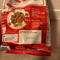 【セット】ビューティープロ 腎臓の健康維持 15歳以上の画像