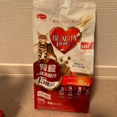 【セット】ビューティープロ 腎臓の健康維持 15歳以上の画像