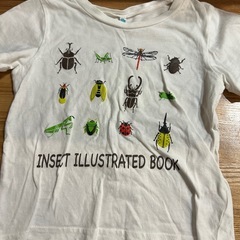 昆虫Tシャツキッズ110の画像