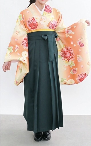 美品！早い者勝ち。使用回数1回　袴（袴（紐下91）、帯、伊達襟、髪飾り4点セット 　小学生　卒業式に