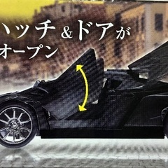 Italian Wing　ラジコンの画像