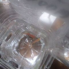 ボトル入り金魚(3匹)、メダカ(5匹)、ヌマエビ(20匹以上)、ドジョウ(3匹)、タナゴ(2匹)追加品出ししました。の画像