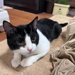 元気な男の子です！