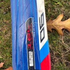 サロモン　スキーストックセット　164cm の画像