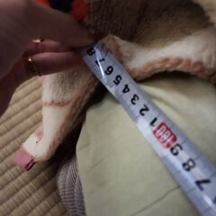 マットレスの画像