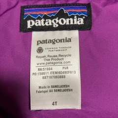 キッズダウンジャケット　パタゴニア　4Tの画像