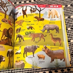 英語ことば図鑑5000 タッチペン付き【美品】の画像