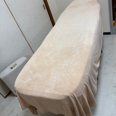フェイシャルベッド　マッサージベッド　カバー付の画像