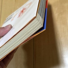 完全失踪マニュアルの画像