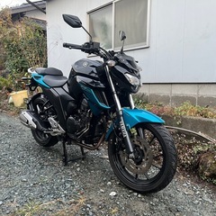 FZ250の画像