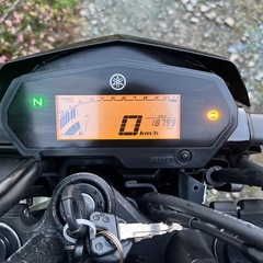 FZ250の画像