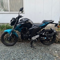 FZ250の画像