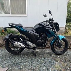 FZ250の画像