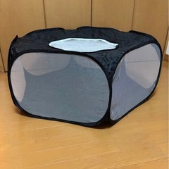 うさぎ用品　ひとつ50円の画像