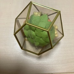 ポケモン フィギュア リーメント Romantic Collection ロマンティックコレクション「ニャオハ」の画像